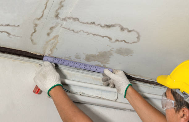Reliable Basement Flood Cleanup contractor in Longview, WA by Aqua Guard Water Damage